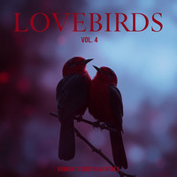 Lovebirds, Vol. 4 (Romantic Instrumentals)