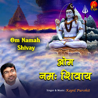 Om Namah Shivay