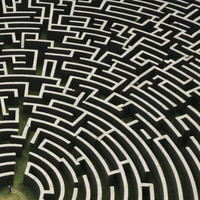 A Love Maze