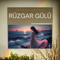 Rüzgar Gülü