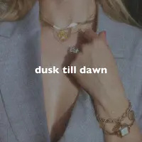 Dusk Till Dawn (Slowed + Reverb)