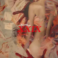 XXIX