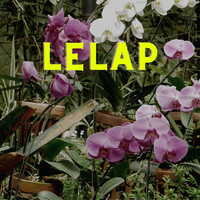 Lelap