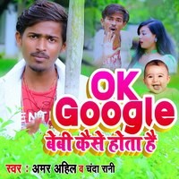 Ok Google Baby Kese Hota Hai