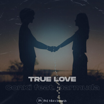 True Love - Song Download from True Love @ JioSaavn, love is true song 