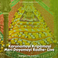 Karunamayi Kripamayi Meri Dayamayi Radhe- Live