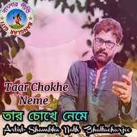 Taar Chokhe Neme