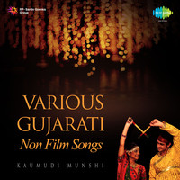 Various Gujarati Non Film Songs