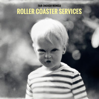 Roller Coaster Services