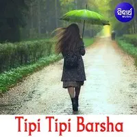 Tipi Tipi Barsha