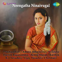 Neengatha Ninaivugal