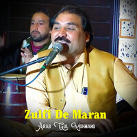 Zulfi De Maran