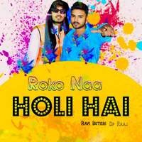 Roko Naa Holi Hai