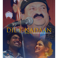 Dil-E-Nadaan