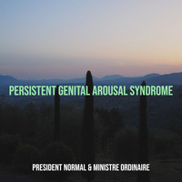 Persistent Genital Arousal Syndrome