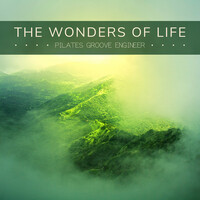 The Wonders of Life