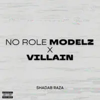 No Role Modelz x Villain