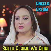Sallu Alaihe Wa Alihi