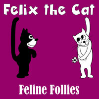 Feline Follies