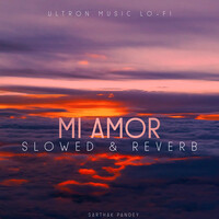 Mi Amor (Slowed & Reverb)