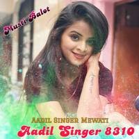 Aadil Singer 8310