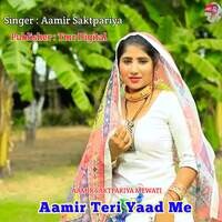 Aamir Teri Yaad Me