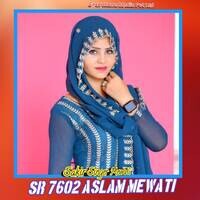 SR 7602 Aslam Mewati