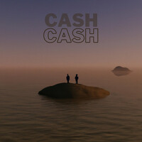 Cash Cash