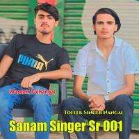 Sanam Singer Sr 001