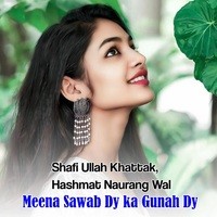 Meena Sawab Dy ka Gunah Dy