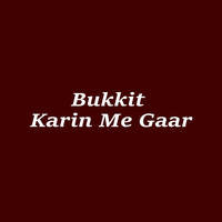 Bukkit  Karin Me Gaar