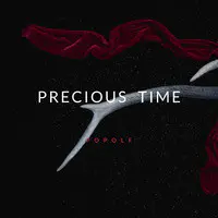 Precious Time