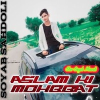 Aslam Ki Mohbbat