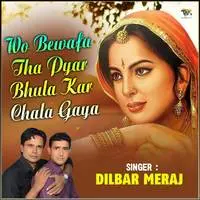 Wo Bewafa Tha Pyar Bhula Kar Chala Gaya