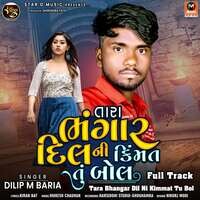 Tara Bhangar Dil Ni Kimmat Tu Bol Full Track