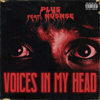 Voices in My Head