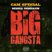 Big Gangsta