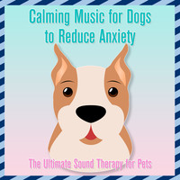 Calming Music for Dogs to Reduce Anxiety : The Ultimate Sound Therapy for Pets