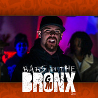 Bars in the Bronx 20