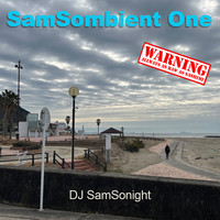 SamSombient One