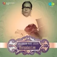 Gajanan Rao Joshi - Bhimpalas Shree (live)
