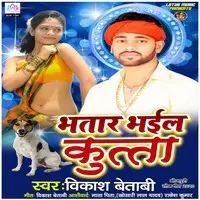 Bhatar Bhail Kutta