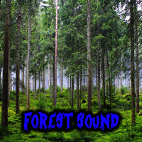 Forest Sound