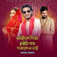 আইলে দিয়া হাইট্টা যায় দামান্দের ভাই