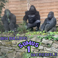 Sumus Uno Incredible