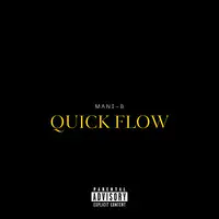 Quick Flow (Freestyle)