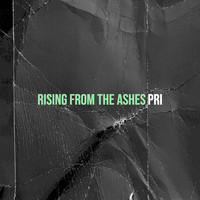 Rising from the Ashes