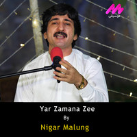 Yar Zamana Zee