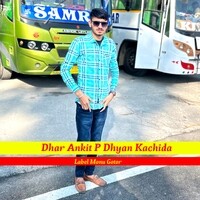 Ankit Meena Gotor New Song