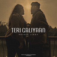 Teri Galiyaan